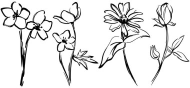 Siyah beyaz siluet Illustration koleksiyonu. Minimalist tarzda çizilmiş, el yapımı bir çiçek..