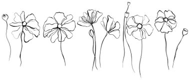 Haşhaş çiçekleri soyut çizim koleksiyonu. Arka plan botanik sanatı için kır çiçekleri. Basit minimalist sanat seti.