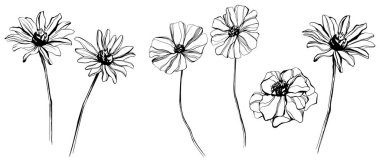 Minimalist tarzda elle çizilmiş çiçekler..