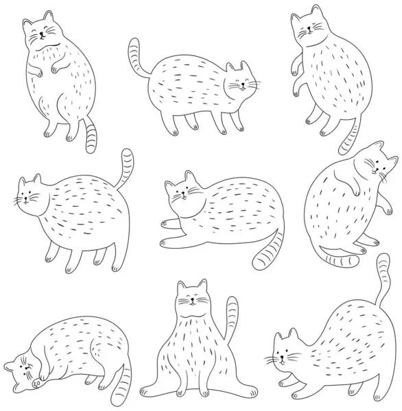 Conjunto Gatos Doodle Bonito Conjunto Ilustração Animal Simples Desenhado Mão Vetores De Bancos De Imagens