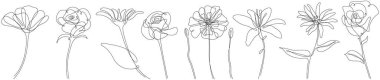 Çiçekler izole edilmiş illüstrasyon koleksiyonu. Yaban çiçekleri soyut basit minimalist sanat kesintisiz bir çizgi çiziyor..