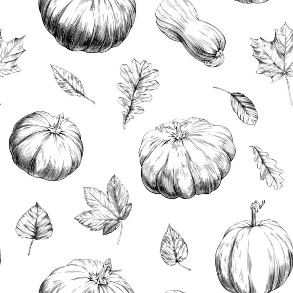 Elle çizilmiş balkabakları ve yapraklarla kusursuz desen. Beyaz illüstrasyonla izole edilmiş.