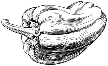 Biberli el çizimi. Siyah beyaz işlemeli mürekkep sanatı. Beyaz arkaplanda izole edilmiş kırmızı biber çizimi ögesi.