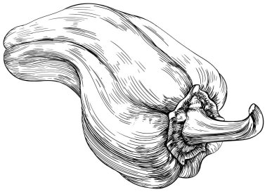 Biber siyah ve beyaz işlemeli mürekkep sanatı beyaz arka planda izole edilmiş bir illüstrasyon unsuru. İşleme tarzında Paprika.