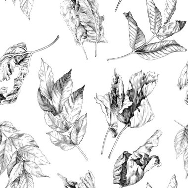Elle çizilmiş siyah beyaz yapraklı kusursuz desen beyaz arkaplanda izole edilmiş..