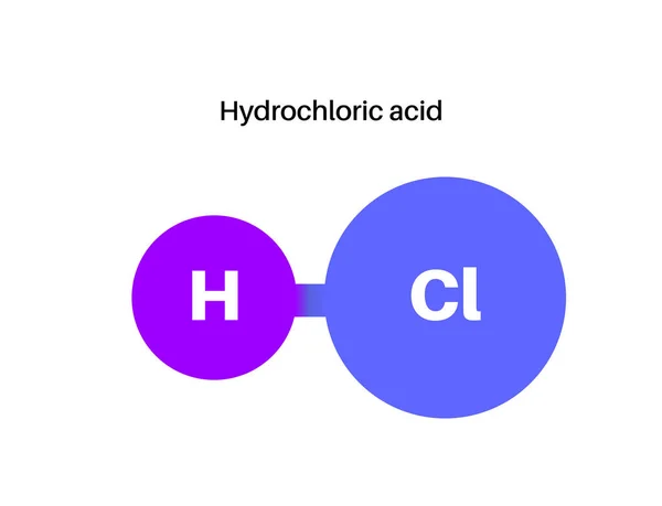 Hydrochloric Acid Chemical Formula Muriatic Acid Spirits Salt Hcl Molecular — Stock Vector
