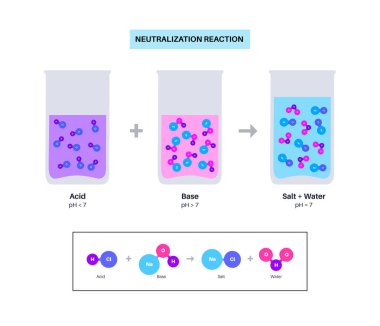 Tepkime nötrleştirme konsepti, kimyasal formüllü poster. Asit ve baz su ve tuza tepki verir. Laboratuvar ayıracı. Kimyasal denklemler eğitim için izole edilmiş düz vektör çizimi