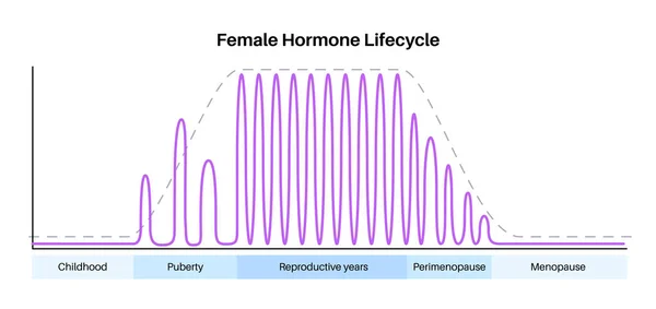 Ženské Hormony Životní Styl Graf Estrogen End Progesteron Diagram Ženském — Stockový vektor