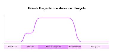 Kadın hormonları yaşam tarzı grafiği. Kadın vücudundaki progesteron diyagramı bebeklik, ergenlik, üreme yılları, perienopoz ve menopoz maksimum ve minimum değer düzeyi tıbbi düz vektör.