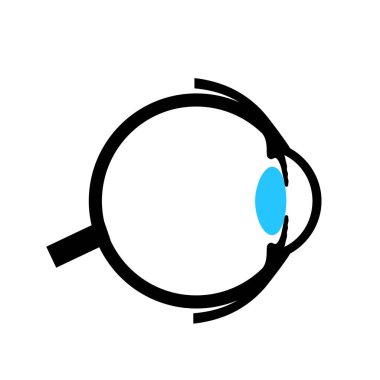 Göz anatomisi posteri. İnsan gözü ikonunun yapısı. En dıştaki, retina ve sklera. Pigmentli koroit, ilk lens ve göz. Ekstraoküler kaslar ve optik sinir izole edilmiş tıbbi düz vektör çizimi