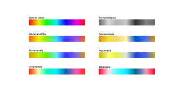 Renk körlüğü bilgisi. Görüş eksikliği konsepti. Renkler arasındaki fark. Deuteranomali Deuteranopia ve protanomali. Protanopia, tritanopia ve tritanomaly. Akromatopsi vektör illüstrasyonu
