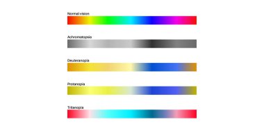 Renk körlüğü bilgisi. Görüş eksikliği konsepti. Renkler arasındaki fark. Deuteranomali Deuteranopia ve protanomali. Protanopia, tritanopia ve tritanomaly. Akromatopsi vektör illüstrasyonu