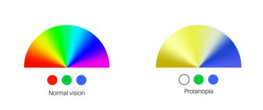 Protanopia görüşü, renk körlüğü bilgisi. İnsan görüşü eksikliği konsepti. Renkler, parlaklık ve gölgelerin yoğunluğu arasındaki fark. Göz anormalliği düz vektör çizimi