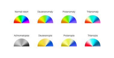 Renk körlüğü bilgisi. Görüş eksikliği konsepti. Renkler arasındaki fark. Deuteranomali Deuteranopia ve protanomali. Protanopia, tritanopia ve tritanomaly. Akromatopsi vektör illüstrasyonu