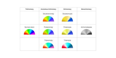 Renk körlüğü bilgisi. Görüş eksikliği konsepti. Renkler arasındaki fark. Deuteranomali Deuteranopia ve protanomali. Protanopia, tritanopia ve tritanomaly. Akromatopsi vektör illüstrasyonu