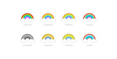 Renk körlüğü bilgisi. Görüş eksikliği konsepti. Renkler arasındaki fark. Deuteranomali Deuteranopia ve protanomali. Protanopia, tritanopia ve tritanomaly. Akromatopsi vektör illüstrasyonu