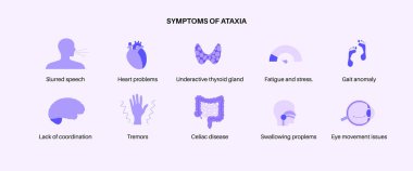 Beyincik ataksi posteri. Sinir sisteminde dejeneratif hastalık, ana semptomlar. Konuşma bozukluğu, tökezleme, düşme, koordinasyon eksikliği. Zayıf kas kontrolü, beceriksiz hareketler vektör çizimi