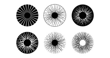 Iris anatomik poster. İnsan gözü yapısı. Gözbebeğinin çapını ve boyutunu kontrol ediyor. Vizyon kavramı. Retinaya ulaşan ışık miktarı, tıbbi düz vektör çizimi