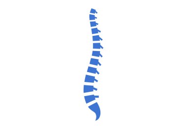 Backbone anatomical poster. Logo or icon for spine center or chiropractor clinic. Intervertebral foramen, cervical, thoracic and lumbar sections of the human vertebrae flat vector medical illustration clipart