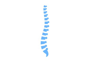 Belkemiği anatomik posteri. Omurga merkezi ya da kiropraktör kliniği için logo ya da ikon. Omurgalar arası foramen, boyun, göğüs ve bel bölgeleri insan omurları düz vektör medikal illüstrasyon.