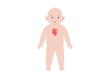Kalbinde anatomik konumda olan çocuk silueti. Bebek siluetinde iç organı gösteren pediatrik tıbbi düz vektör. Yeni doğmuş vücut Illustration, bebek sağlığı konsepti, anatomi ve eğitim