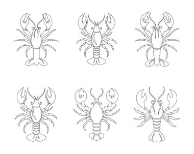 Beyaz arkaplanlı ıstakoz çizgisi tasarım paketi