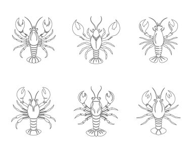 Beyaz arkaplanlı ıstakoz çizgisi tasarım paketi