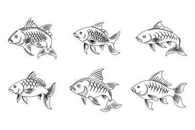 Sazan balığı koleksiyonu beyaz arkaplanlı tasarım paketi