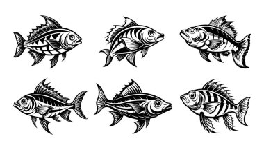 Anabas balık silueti dizayn paketi beyaz arkaplanlı