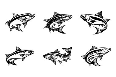 somon balığı silueti dizayn paketi beyaz arkaplanlı