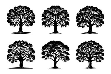 Vektör Klip Sanatı Biçiminde Ağaç Silueti Paketi