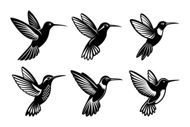 Beyaz arkaplan ile yaratıcı vektör klipsi sanatında sinekkuşu silueti tasarım paketi