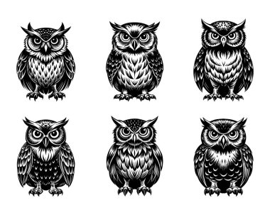 Beyaz arkaplan ile vektör stili klipsleme sanatında baykuş silueti demeti ayarlandı