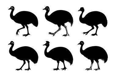 Beyaz arkaplanlı yaratıcı vektör klipsi sanatında Cassowary siluet tasarım paketi