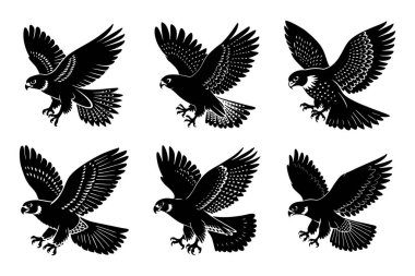 Vektör klipsi sanat tarzı şahin uçan siluet demeti beyaz arkaplan ile ayarlandı