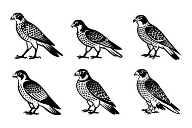 Vektör klipsi sanat tarzı şahin uçan siluet demeti beyaz arkaplan ile ayarlandı