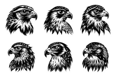 Vektör klipsi sanat tarzı şahin uçan siluet demeti beyaz arkaplan ile ayarlandı