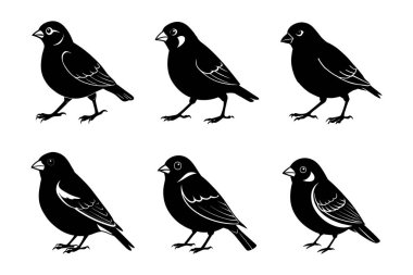 Beyaz arkaplan ile vektör biçimi klipsleme sanatında Finch siluet demeti ayarlandı