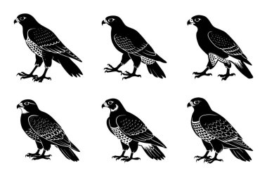 Vektör klipsi sanat tarzı şahin uçan siluet demeti beyaz arkaplan ile ayarlandı