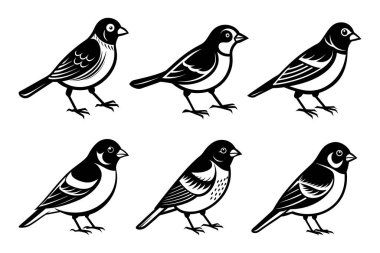 Beyaz arkaplan ile vektör biçimi klipsleme sanatında Finch siluet demeti ayarlandı