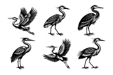 Vektör klipsi sanat tarzı balıkçıl siluet demeti beyaz arkaplan ile ayarlandı