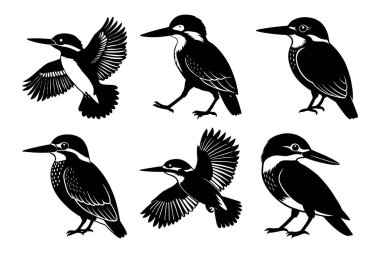 Beyaz arkaplanlı Kingfisher siluet tasarımı