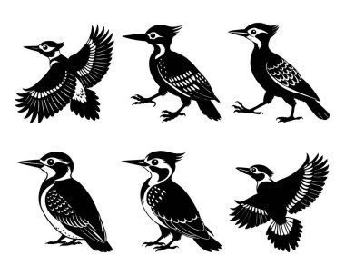 Beyaz arkaplan ile vektör biçimi klipsleme sanatında ağaçkakan silueti demeti