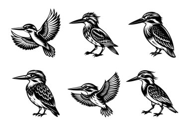 Beyaz arkaplanlı Kingfisher siluet tasarımı