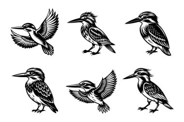 Kingfisher silhouette design in vector style with a white background clipart