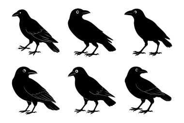 Beyaz arkaplan ile vektör biçimi kırpma sanatında karga silueti demeti