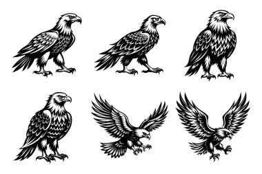 Beyaz arkaplan ile vektör biçiminde kartal silueti tasarımı