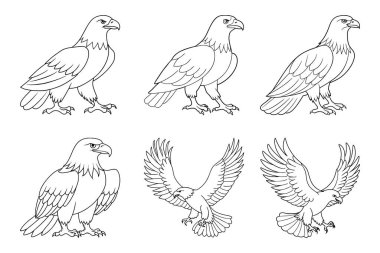 Eagle silhouette design in vector style with a white background clipart