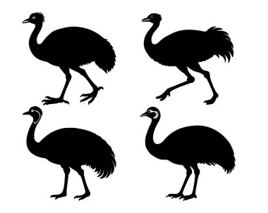Beyaz arkaplanı olan vektör klipsi sanat biçimi emu siluet paketi