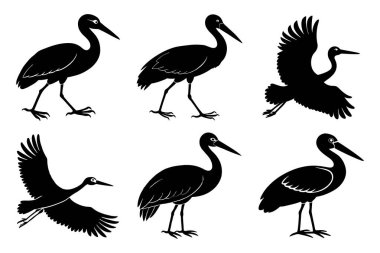 Vector clip art style pelican silhouette bundle set with white background clipart